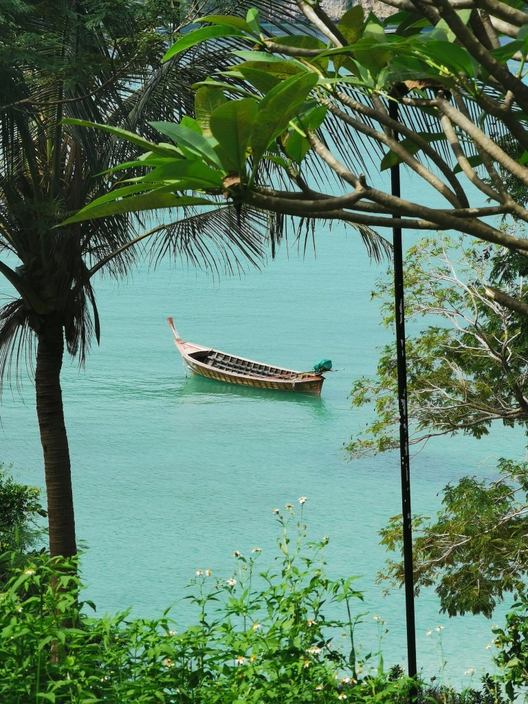 annamariyoga_joogamatkasrilankalle2025_4